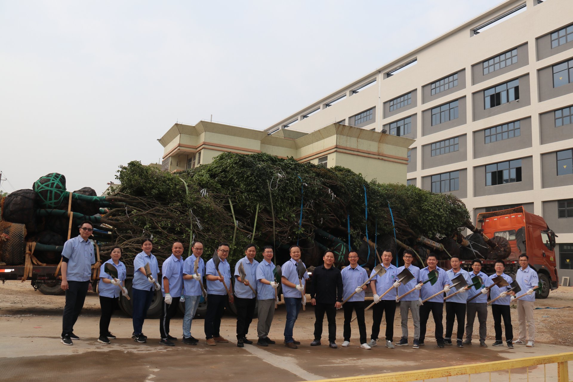 植樹節(jié)活動