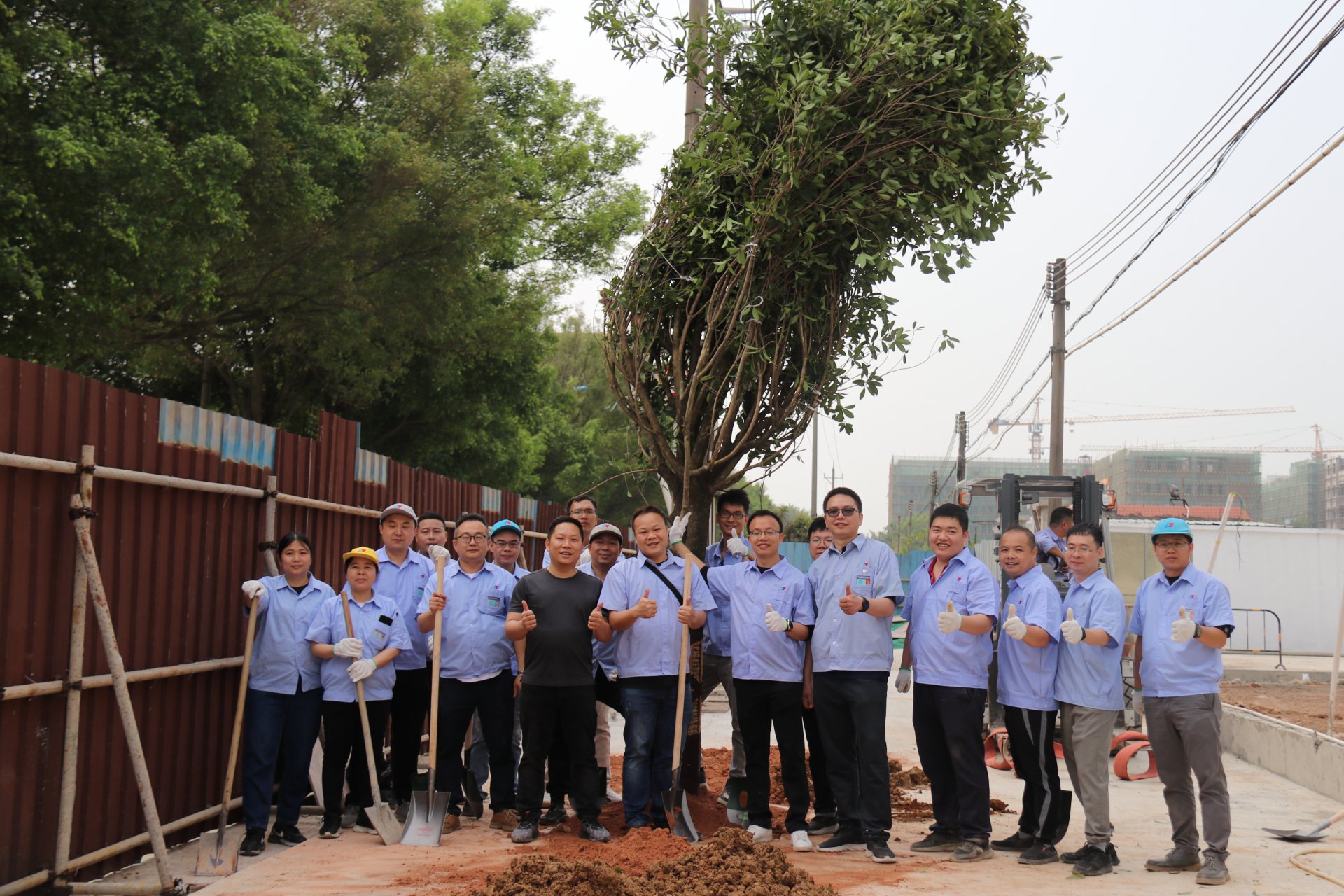 植樹節(jié)活動